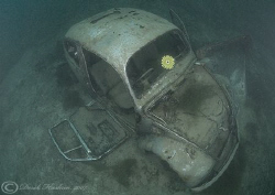 Flower power!  VW Bettle. Capernwray. D200, 10.5mm. by Derek Haslam 